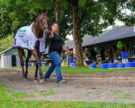 Thorpedo Anna is walked by Shannon Geiser at the Kenny McPeek barn at Saratoga Race Course