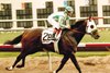 Officer wins the 2001 Del Mar Futurity at Del Mar