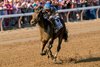 Kilwin and Jose Ortiz win the G1 Test Stakes Saratoga Racecourse, Saratoga Springs, NY, August 2, 2025, Mathea Kelley
