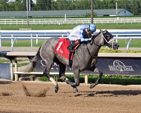 Vincey Girl wins the Sheer Drama Handicap at Gulfstream Park