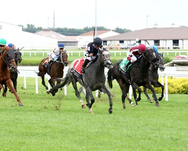 Annie Express - Horse Profile - BloodHorse