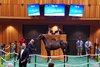 Hip 66, 2025 Fasig-Tipton Saratoga Sale
