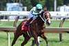Mythical wins the 2025 Adirondack Stakes at Saratoga