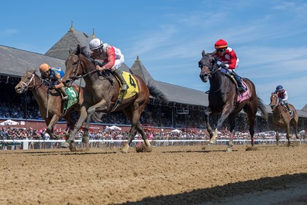 Five Bars - Horse Profile - BloodHorse