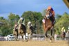 Tommy Jo wins the 2025 Spinaway Stakes at Saratoga Race Course