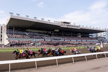 Racing at Woodbine