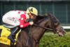 Chunk of Gold wins the 2025 West Virginia Derby at Mountaineer