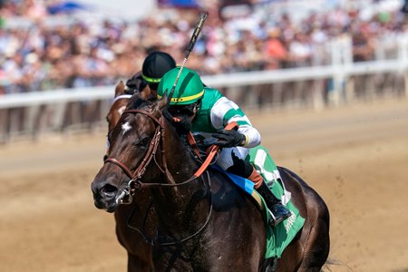 Big Dom wins a maiden special weight race at Saratoga Race Course