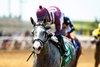 Pamela Ziebarth’s home-bred Sweet Azteca carries Juan Hernandez to victory in the Grade III $100,000 Rancho Bernardo Handicap Sunday, August 24, 2025 at Del Mar Thoroughbred Club, Del Mar, CA.  
Benoit Photo




