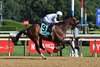 Come Full Circle, Maiden Win, Saratoga Race Course, August 1 2025