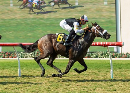 Arkadelphia breaks his maiden at Del Mar