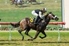 Arkadelphia, Maiden Win, Del Mar, August 22 2025
First winner for Halladay