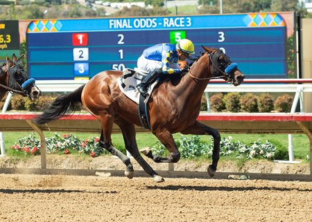 Litmus Test breaks his maiden at Del Mar