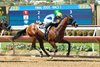Litmus Test, Maiden Win, Del Mar, August 16 2025