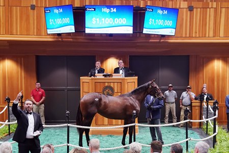 Hip 34, a Flightline filly, in the sales ring at the Fasig-Tipton Saratoga Sale