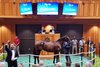 Hip 34, 2025 Fasig-Tipton Saratoga Sale