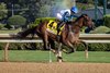 Book&#39;em Danno wins the 2025 Forego Stakes at Saratoga Race Course