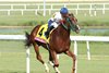Charlene&#39;s Dream wins the 2025 Beverly D. Stakes at Colonial Downs