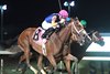 Ritzaphena wins the 2025 Prairie Meadows Debutante Stakes at Prairie Meadows