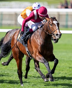 Sajir wins the Abernant Stakes at Newmarket Racecourse