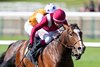 Sajir (Oisin Murphy) wins the Abernant Stakes
Newmarket 16.4.25 Pic: Edward Whitaker