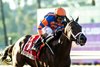 Fierceness and jockey John Velazquez win the Grade I, $1,000,000 Pacific Classic, Saturday, August 30, 2025 at Del Mar Thoroughbred Club, Del Mar CA.
&#169; BENOIT PHOTO