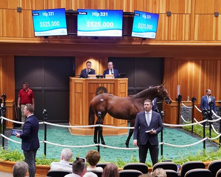 Hip 331, an Early Voting filly consigned by Thorndale Farm, sells for $525,000 to Jones/Everett, agent for Sabby and Gargan Racing