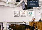 2025 Texas Summer Yearling Sale, Hip 130