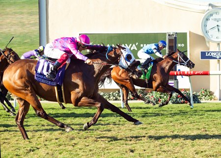 Motorious (near) wins the Green Flash Handicap via disqualification at Del Mar