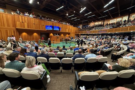 Fasig-Tipton's The Saratoga Sale