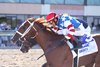 Tip Top Thomas with John Velazquez riding won the $200,000 Smarty Jones Stakes at Parx Racing on Tuesday August 19, 2025.  Photo By Bill Denver/EQUI-PHOTO