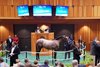 Hip 179, 2025 Fasig-Tipton Saratoga Sale
