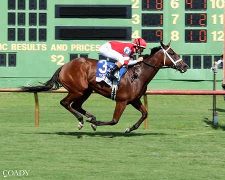 Destino d'Oro wins the Pucker Up Stakes at Ellis Park