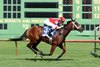 Destino d&#39;Oro wins the 2025 Pucker Up Stakes at Ellis Park