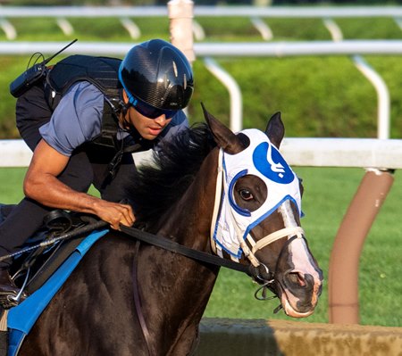 Good Cheer breezes under Luis Saez Aug. 9 at Saratoga Race Course