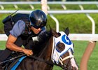 Good Cheer Kentucky Oaks G1 winner breezed a half-mile this morning on the main track at the Saratoga Race Course Saturday Aug.9, 2025 in Saratoga Springs, N.Y.  This was her prep workout for her appearance in the Alabama Stakes to be run at the Saratoga on August 16th.  Skip Dickstein Photo