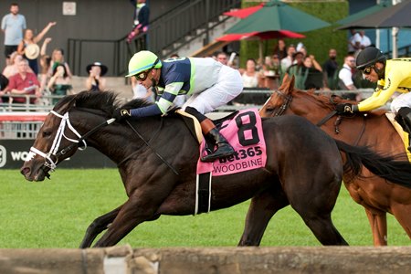 Gas Me Up wins the 2025 King Edward Stakes at Woodbine