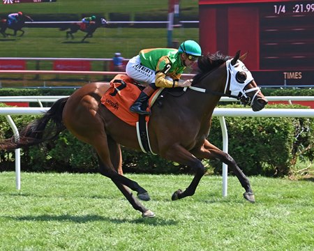 Trading Trouble wins on debut at Saratoga Race Course