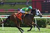 Trading Trouble, Maiden Win, Saratoga Race Course, August 9 2025