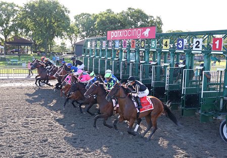 Horses break from the gate at Parx Racing