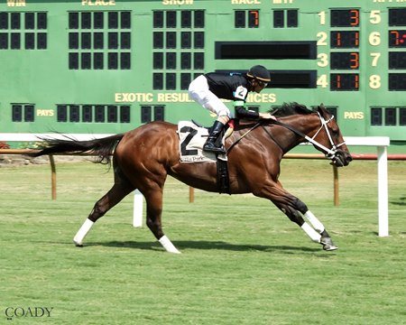Doncho lowers the North American mark for 5 1/2 furlongs