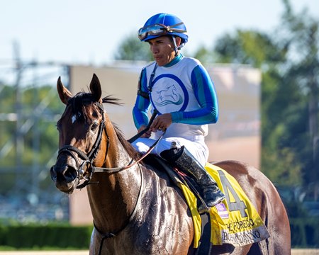 Book'em Danno after winning the Forego Stakes at Saratoga Race Course