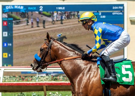 Last year's Breeders' Cup Juvenile winner Citizen Bull is being pointed to the Breeders' Cup Dirt Mile at Del Mar