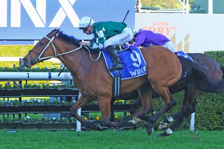 Via Sistina repeats in the Winx Stakes at Randwick Racecourse