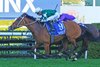 Via Sistina wins the 2025 Winx Stakes at Randwick Racecourse
ridden by James Mcdonald and trained by Chris Waller