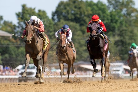 Five Bars - Horse Profile - BloodHorse
