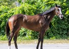 2025 Fasig-Tipton August Digital Sale, Lot 39