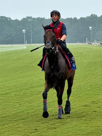 Cairo Gets Acquainted With Colonial Before 'Million' - BloodHorse