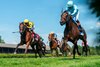 May Day Ready and Jose Ortiz Win the G2 Lake Placid Stakes at Saratoga Racecourse, Saratoga Springs, NY, 8-23-25, Mathea Kelley-Bloodhorse 