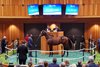 Hip 218 , 2025 Fasig-Tipton Saratoga Sale